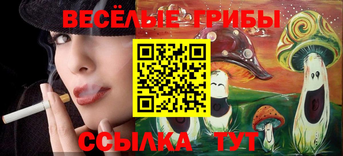 Коряжма  Галлюциногенные грибы MAGIC MUSHROOMS  Псилоцибиновые грибы Cubensis  Вход с VPN 