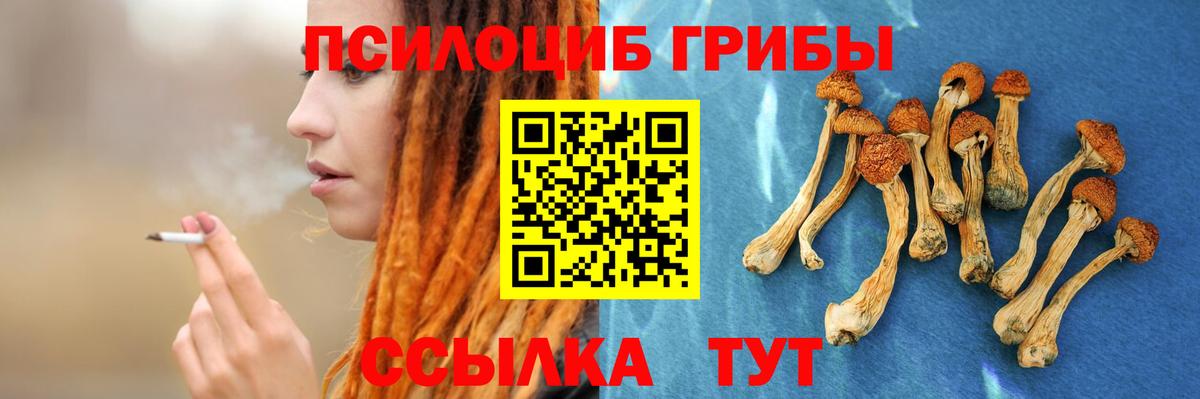Псилоцибиновые грибы мицелий Коряжма